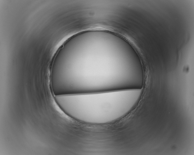 X0000113141476200909040946
