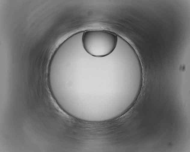 X0000113141477200909040946