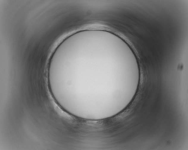 X0000113141478200909040946