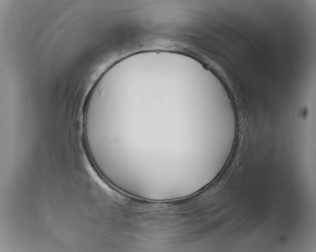 X0000113141479200909040946