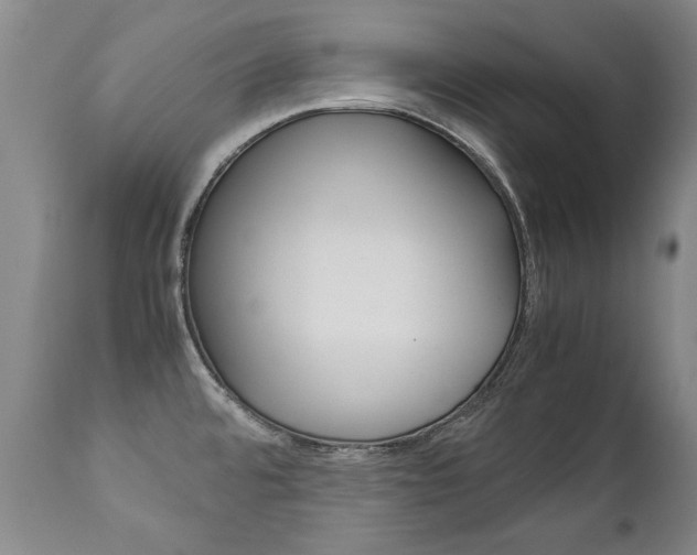 X0000113141480200909040946