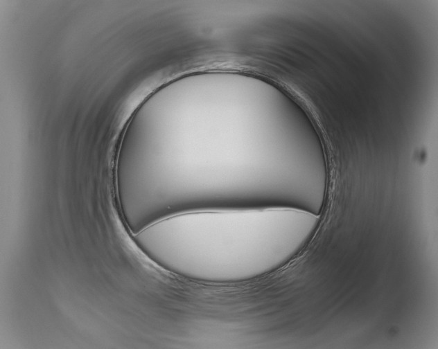 X0000113141483200909040946