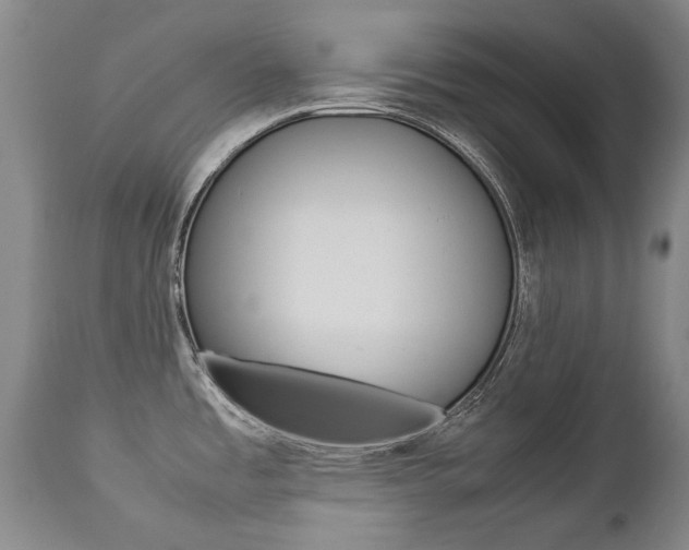 X0000113141485200909040946