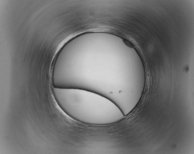 X0000113141487200909040946