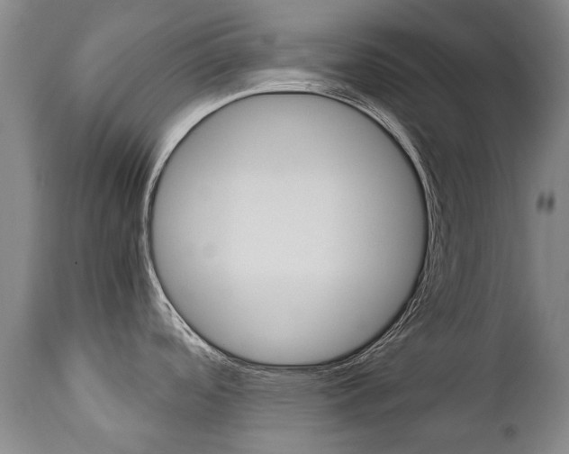 X0000113141488200909040946