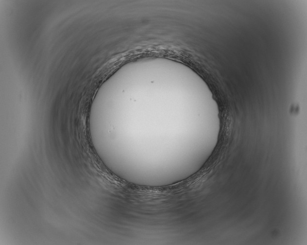 X0000113141489200909040945