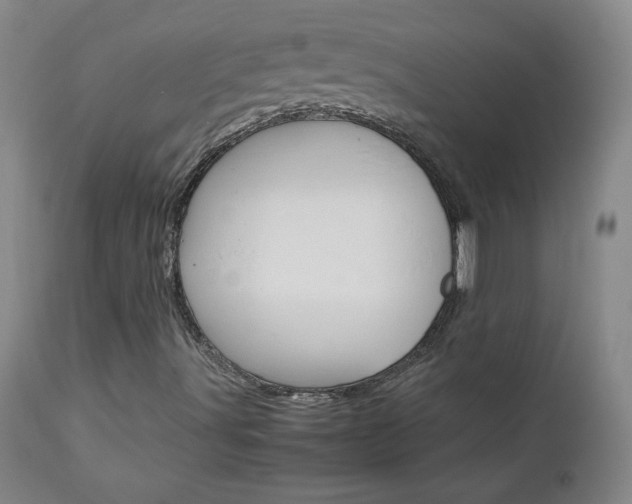 X0000113141491200909040945
