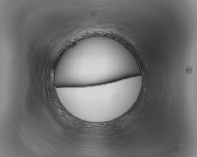 X0000113141492200909040945
