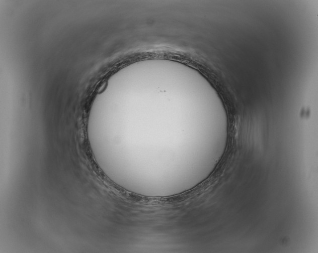 X0000113141493200909040945