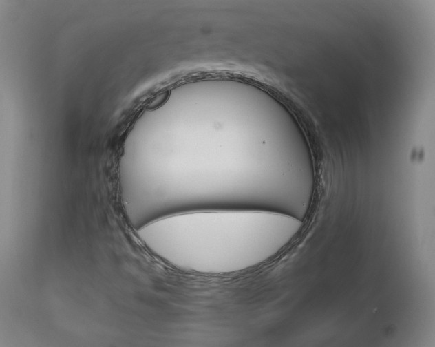 X0000113141494200909040945