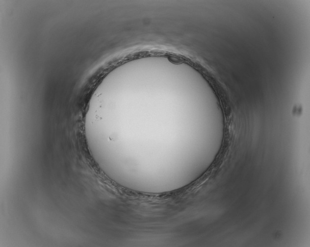 X0000113141495200909040945