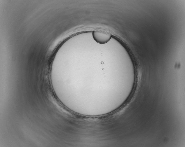 X0000113141498200909040945