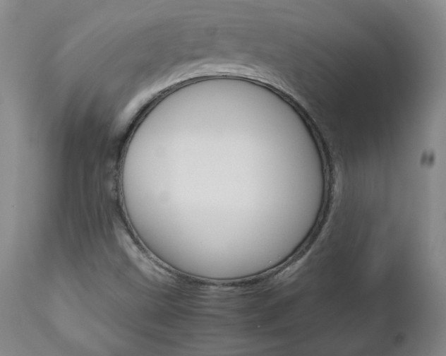 X0000113141499200909040945