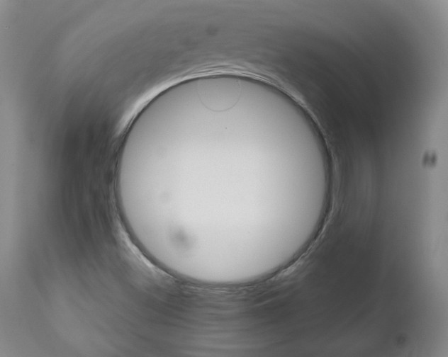 X0000113141500200909040945