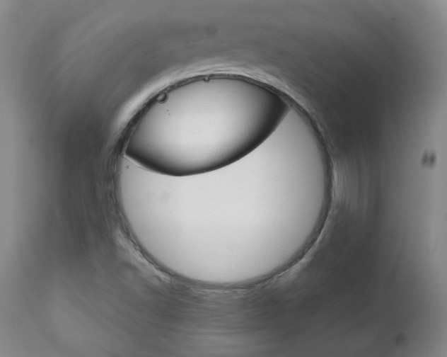X0000113141502200909040945