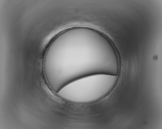 X0000113141503200909040945