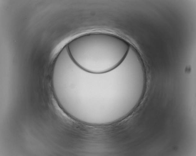 X0000113141504200909040945