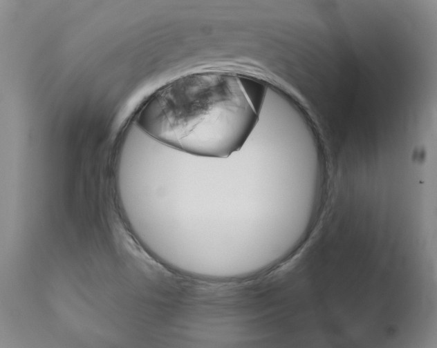 X0000113141506200909040945