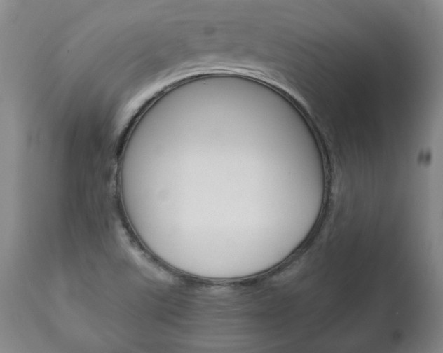 X0000113141507200909040945