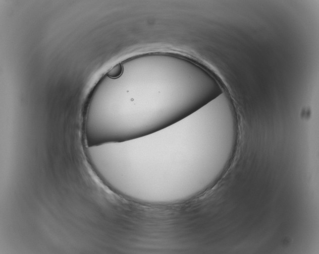 X0000113141508200909040945