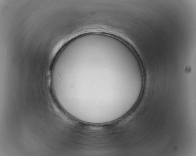 X0000113141509200909040945