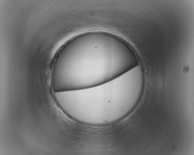 X0000113141510200909040945