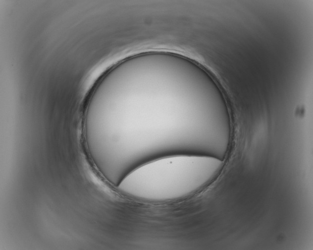 X0000113141511200909040945