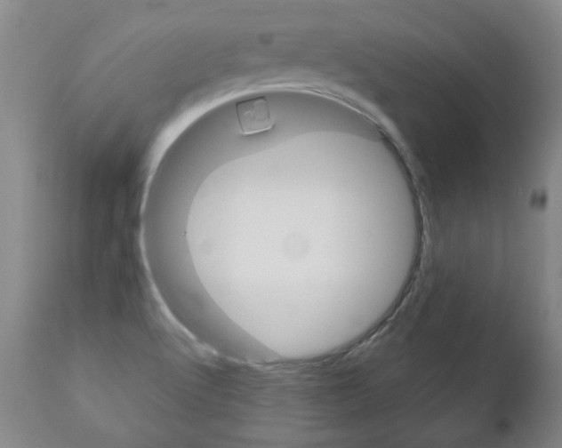 X0000113141512200909040945