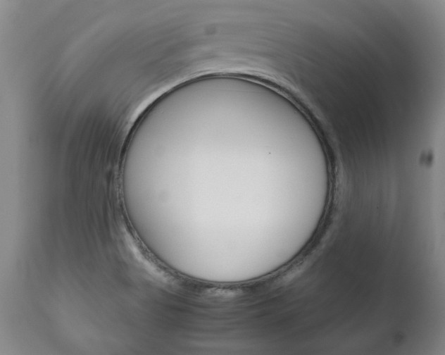 X0000113141513200909040945