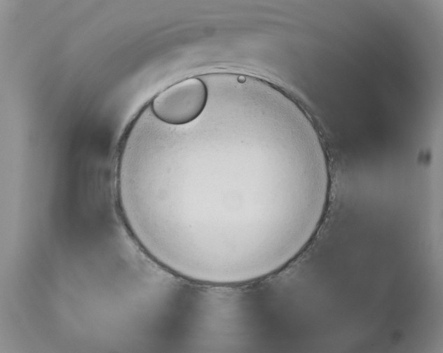 X0000113141514200909040945