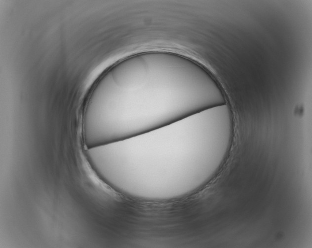 X0000113141515200909040945