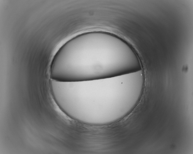 X0000113141516200909040945