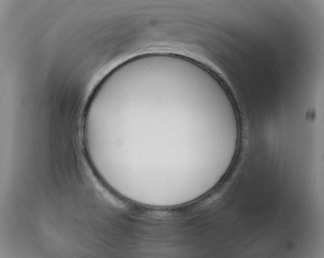 X0000113141517200909040945