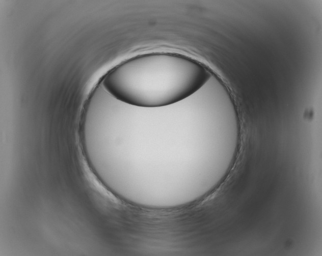 X0000113141518200909040945