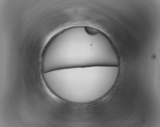 X0000113141519200909040945