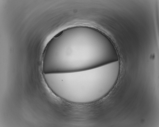 X0000113141520200909040945