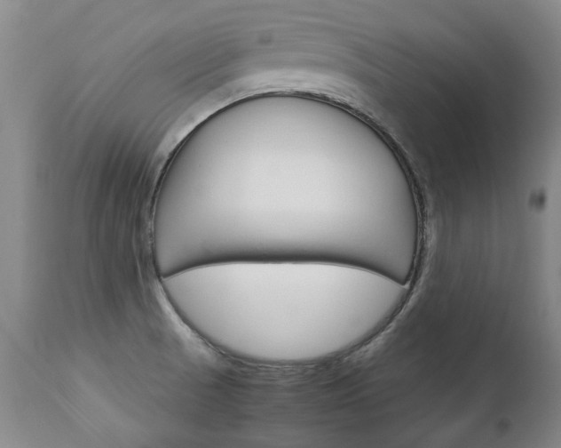 X0000113141521200909040945