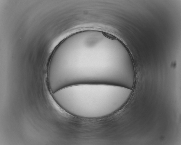 X0000113141523200909040945