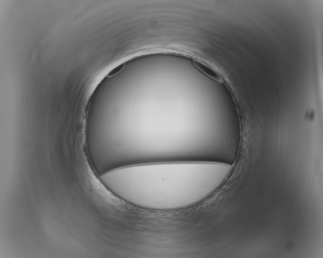 X0000113141524200909040945