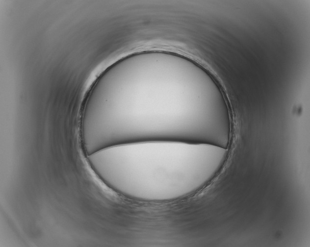 X0000113141525200909040945