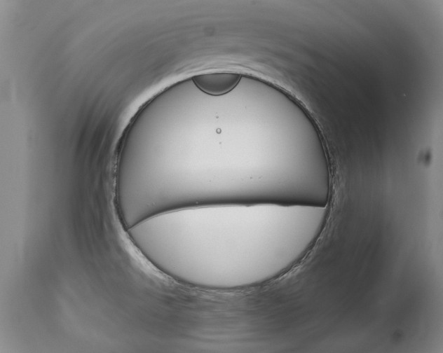 X0000113141526200909040945
