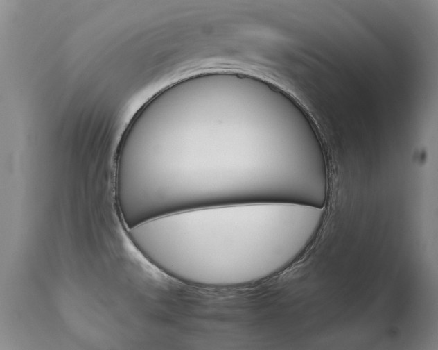 X0000113141527200909040945
