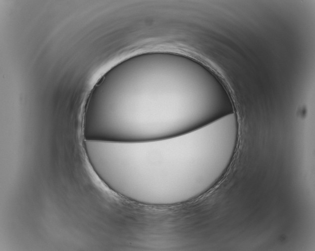 X0000113141528200909040945