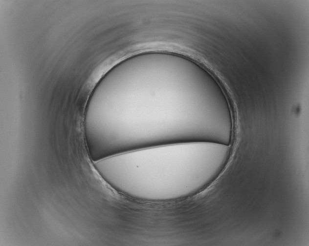 X0000113141529200909040945