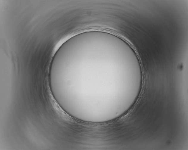 X0000113141530200909040945