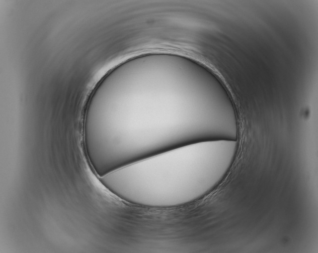 X0000113141531200909040945