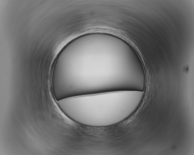 X0000113141533200909040945