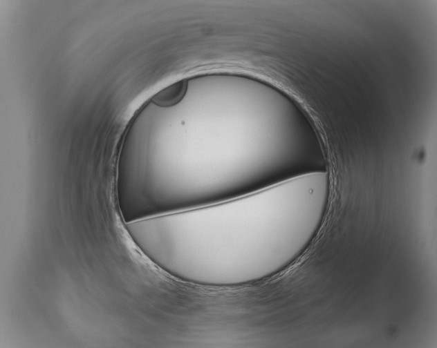 X0000113141534200909040945