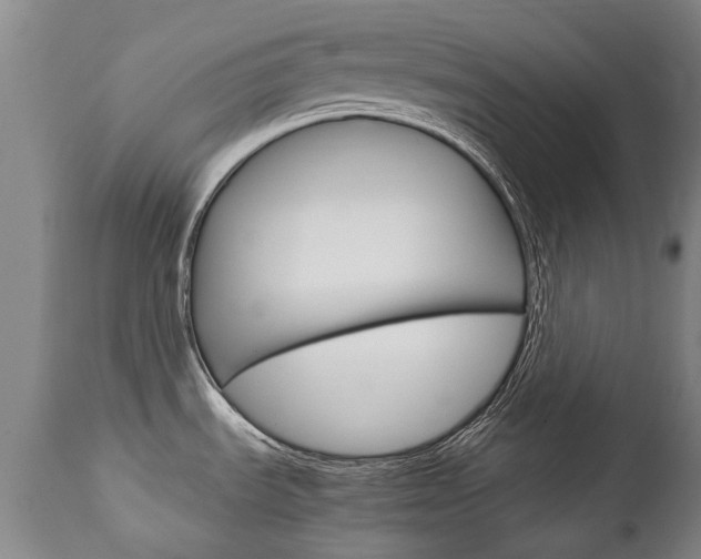 X0000113141535200909040945