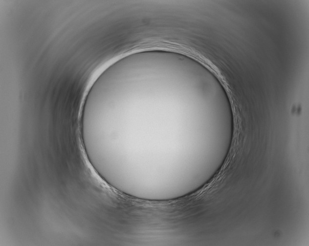 X0000113141536200909040946